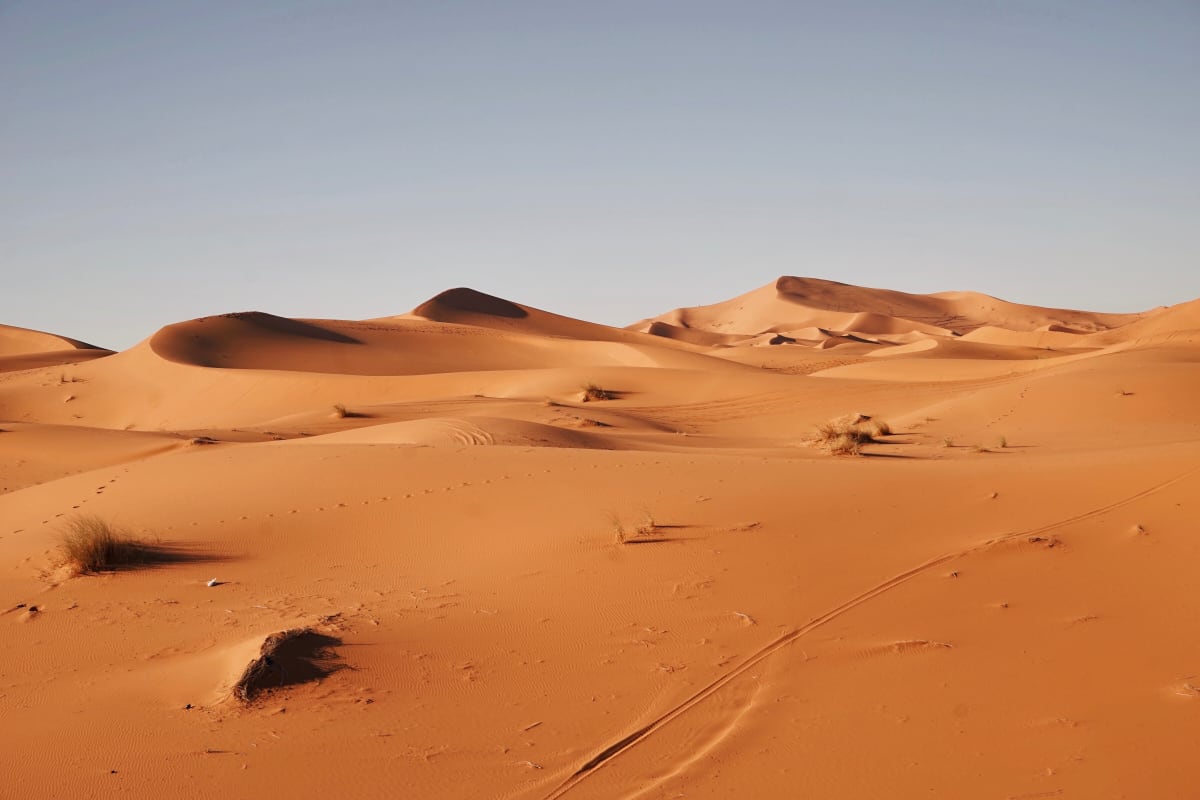 Expanding Oil Exploration Threatens One of the Sahara's Largest Nature Reserves