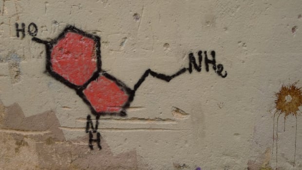 Serotonin Graffitti.jpg