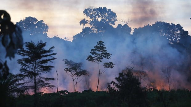 Fire burns in a deforested section in the Amazon lowlands on November 16th, 2013, in Madre de Dios region, Peru.