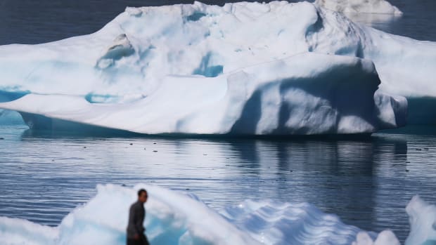 Icebergs are seen floating in the water on July 30th, 2013, in Narsaq, Greenland.