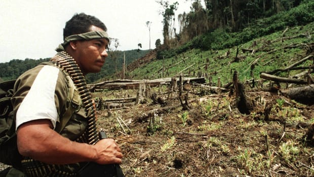 A Colombian soldier looks at a deforested land formerly used by drug traffickers for poppy plantations near the Huila department in southern Colombia.