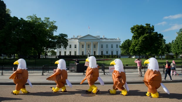 Advocates for national service dressed in bald eagle costumes rally in front of the White House in Washington, D.C., on May 7th, 2018. The protest organized by Service Year Alliance opposes the White House's budget proposal to eliminate national service programs like AmeriCorps and cut funding to the Peace Corps.