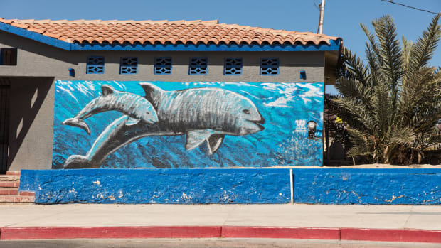 A mural of the endangered vaquita on a bathroom near downtown San Felipe, Mexico. The vaquita, although rarely ever seen, is an icon for tourism in the region.