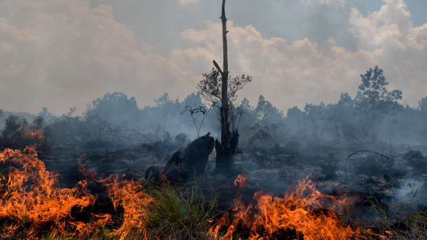 Smoke rises up from a peat-land fire in Pekanbaru, Riau province, on February 1st, 2018, one of 73 detected hotspots causing haze on the island of Sumatra. The haze is an annual problem in Indonesia caused by fires set in forest and on carbon-rich peatland in Indonesia to clear land for palm oil and pulpwood plantations.