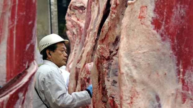 A Japanese cattle dealer checks beef meat before an auction at the Tokyo Metropolitan Central Wholesale Meat Market on July 26th, 2006.