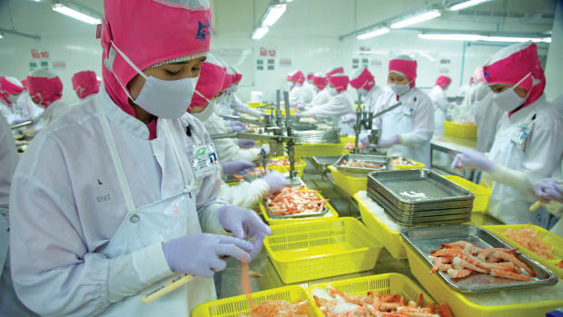 Burmese migrant workers peel shrimp at a processing factory in Thailand's Samut Sakhon province.
