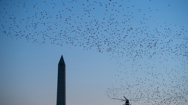 Birds fly past as Marine One, with President Donald Trump on board, lands on the South Lawn of the White House on December 21st, 2017, in Washington, D.C.