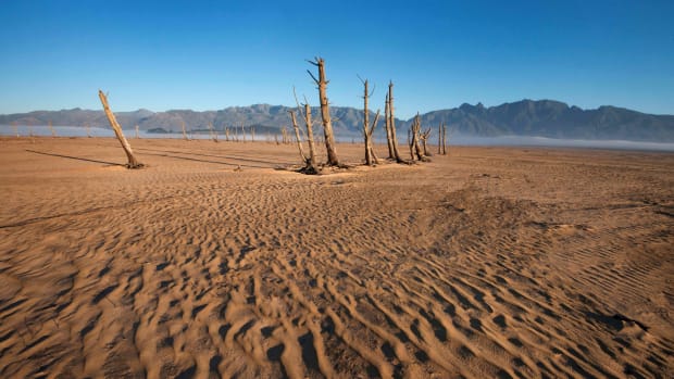 Bare sand and dried tree trunks stand out at Theewaterskloof Dam, outside of Cape Town, South Africa.