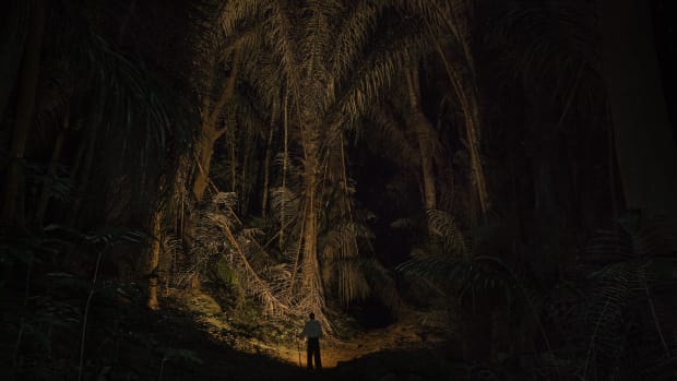 East Usambara Mountains, Tanzania: John Mganga walks through a forest at night near his former workplace, the Amani Hill Research Station. Many of the trees were first planted during German colonial rule as part of a botanical gardens project that was later abandoned.