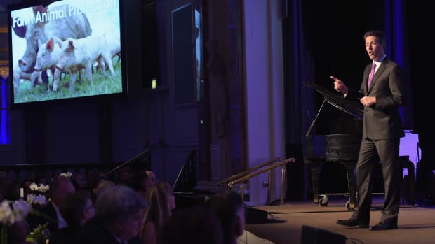 Wayne Pacelle speaks onstage during the Humane Society of the United States' Los Angeles Benefit Gala at the Beverly Wilshire Hotel on May 16th, 2015, in Beverly Hills, California.