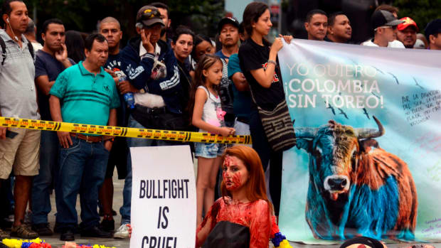 Activists protest against bullfighting at Botero Square in Medellín, Colombia, on February 11th, 2018.