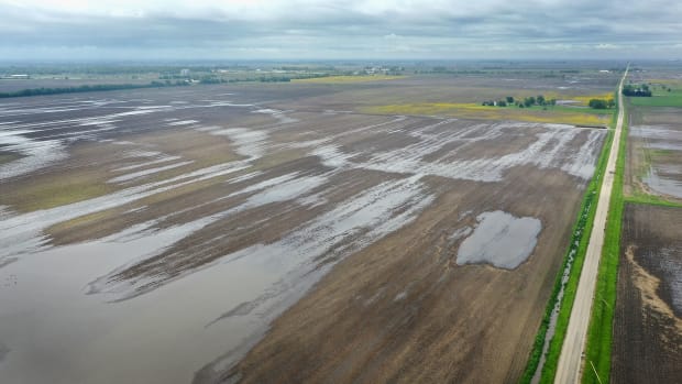 Water pools in rain-soaked farm fields on May 29th, 2019, near Gardner, Illinois.