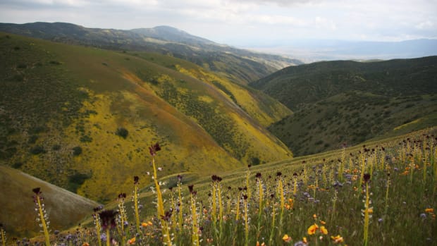 Carrizo Plain National Monument in California is run by the Bureau of Land Management.