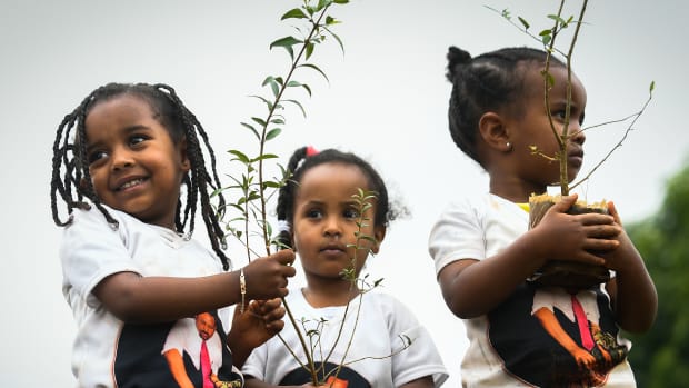 Ethiopian girls wear T-shirts depicting Ethiopia's Prime Minister Abiy Ahmed as they take part in a national tree-planting drive in the capital of Addis Ababa, on July 28th, 2019. The Green Legacy campaign, started by Ahmed's office, wants every Ethiopian to plant 40 seedlings during the rainy season, which runs from May to October.