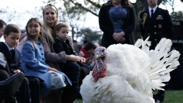 White House adviser and first daughter Ivanka Trump and her children Arabella, Joseph, and Theodore attend a turkey pardoning event as they watch Peas, one of the two turkeys, at the Rose Garden of the White House on November 20th, 2018, in Washington, D.C. The two pardoned turkeys, Peas and Carrots, will spend the rest of their lives at a farm after the annual Thanksgiving presidential tradition.