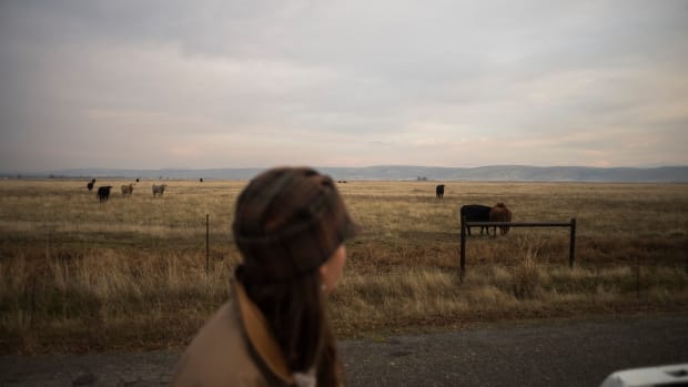 Breanna Owens looks over the livestock at her ranch in Los Molinos, California.