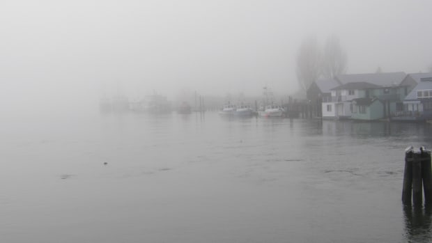 Mist on the Fraser River in Delta, British Columbia, Canada.