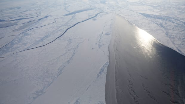 Sea ice seen from NASA's Operation IceBridge research aircraft off the northwest coast of Greenland on March 30th, 2017. Scientists say that the Arctic has been one of the regions hardest hit by climate change.