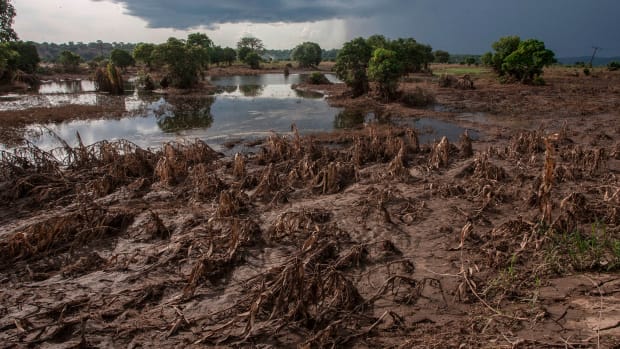 This picture, taken on March 15th, 2019, shows a maize field destroyed by floods in Chikwawa district, Southern Malawi.