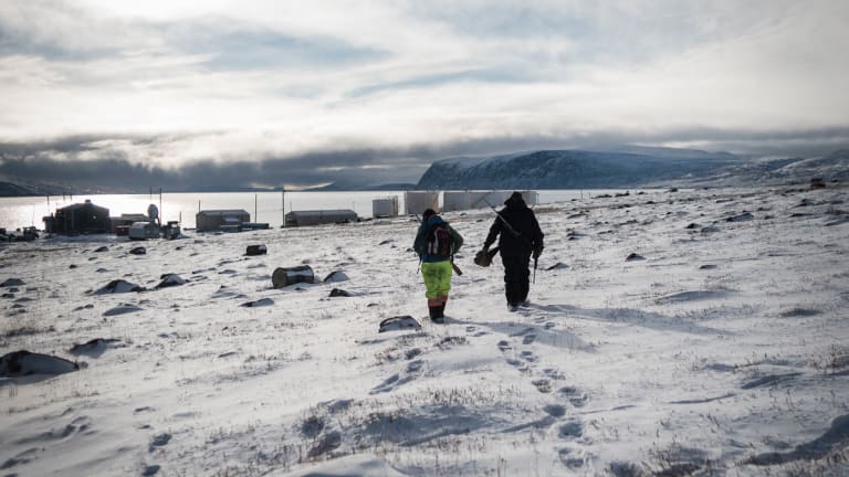 Solving the Suicide Crisis in the Arctic Circle
