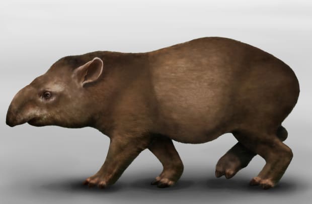 extinct-tapir-painting.jpg