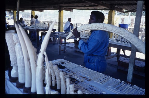central-africa-ivory-market.jpg