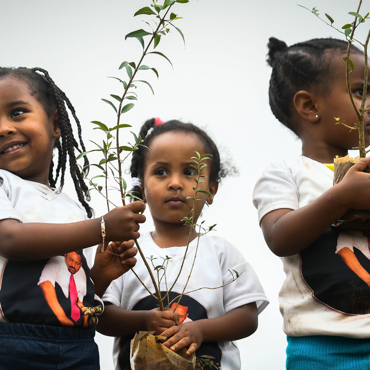 Ethiopians Tackle the Climate Crisis 350 Million New Trees (in Photos) Pacific Standard
