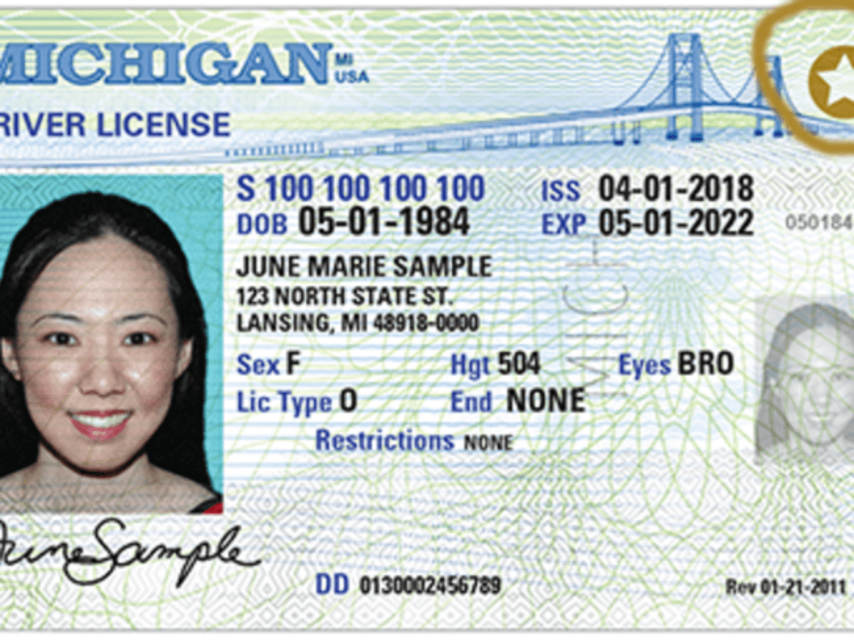 Noncitizen driver's licenses, News
