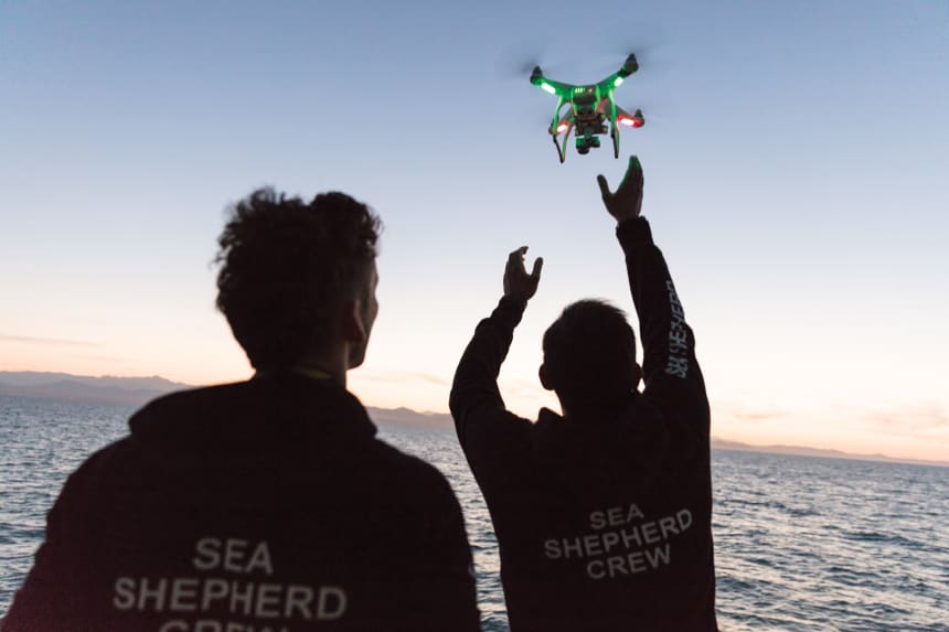 Sea Shepard volunteers deploy a drone to spy on Mexican fishermen who they suspect are poaching totoaba sea bass from the waters of the Gulf of California.