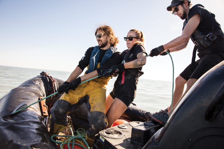 Sea Shepherd volunteers attempt to pull the anchor of an illegal gillnet that was placed in the Gulf of California and snagged by steel hooks dragged behind the Sam Simon. Crewmembers use rubber zodiac skiffs to haul the nets aboard and attempt to rescue or document any sea life discovered in the net.
