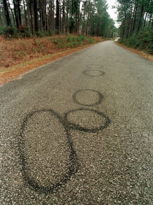 Painted circles mark evidence in the dragging death of James Byrd Jr. on a road outside Jasper, Texas.