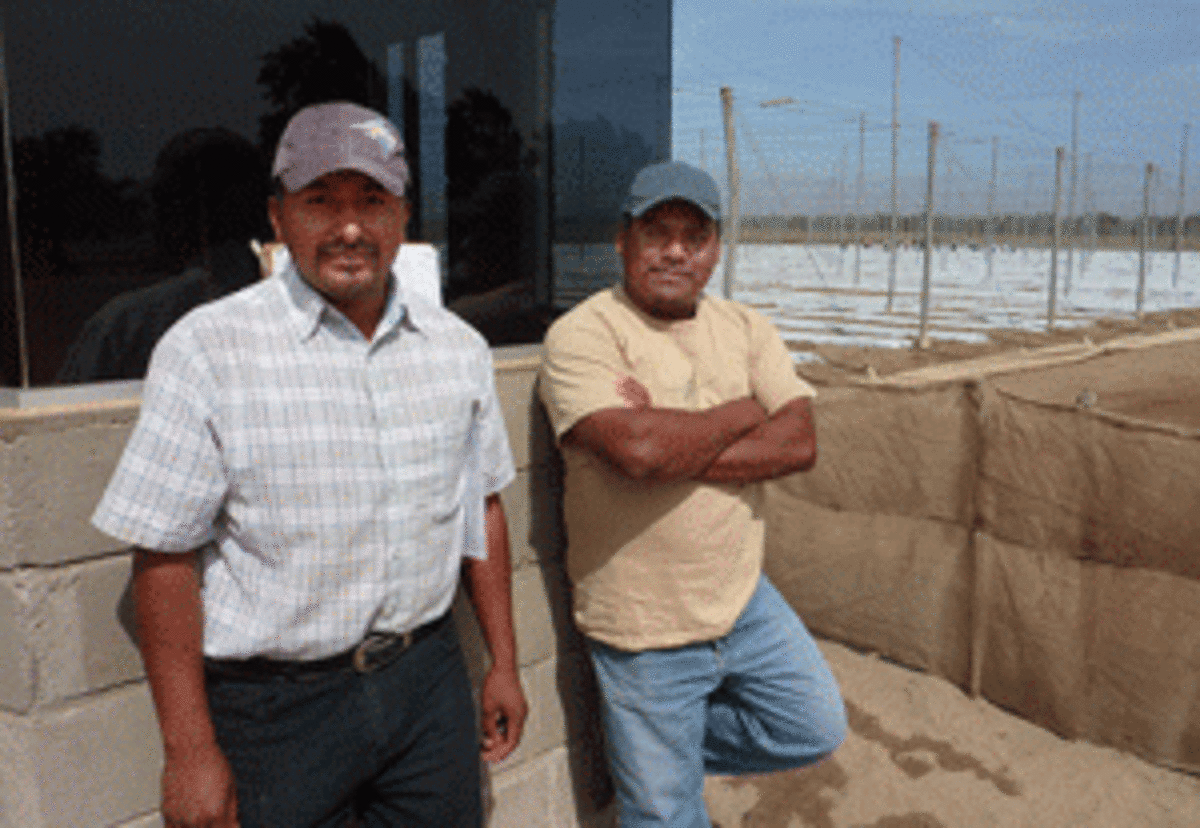 Raul and Miguel, Mixteco indigenous people from Oaxaca who left their eroded lands to find employment in San Quintín. 