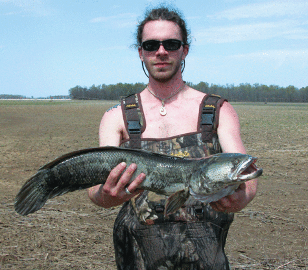 Arkansas launched Operation Mongoose in an effort to eliminate snakeheads. (Courtesy of University of Central Arkansas)