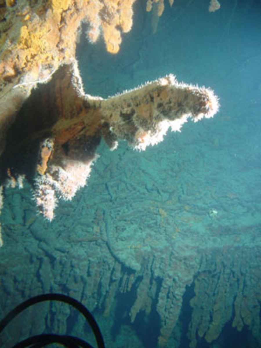 The Titanic, draped with colonies of bacteria. (Courtesy of Lori Johnson, RMS Titanic Expedition 2003, NOAA-OE)