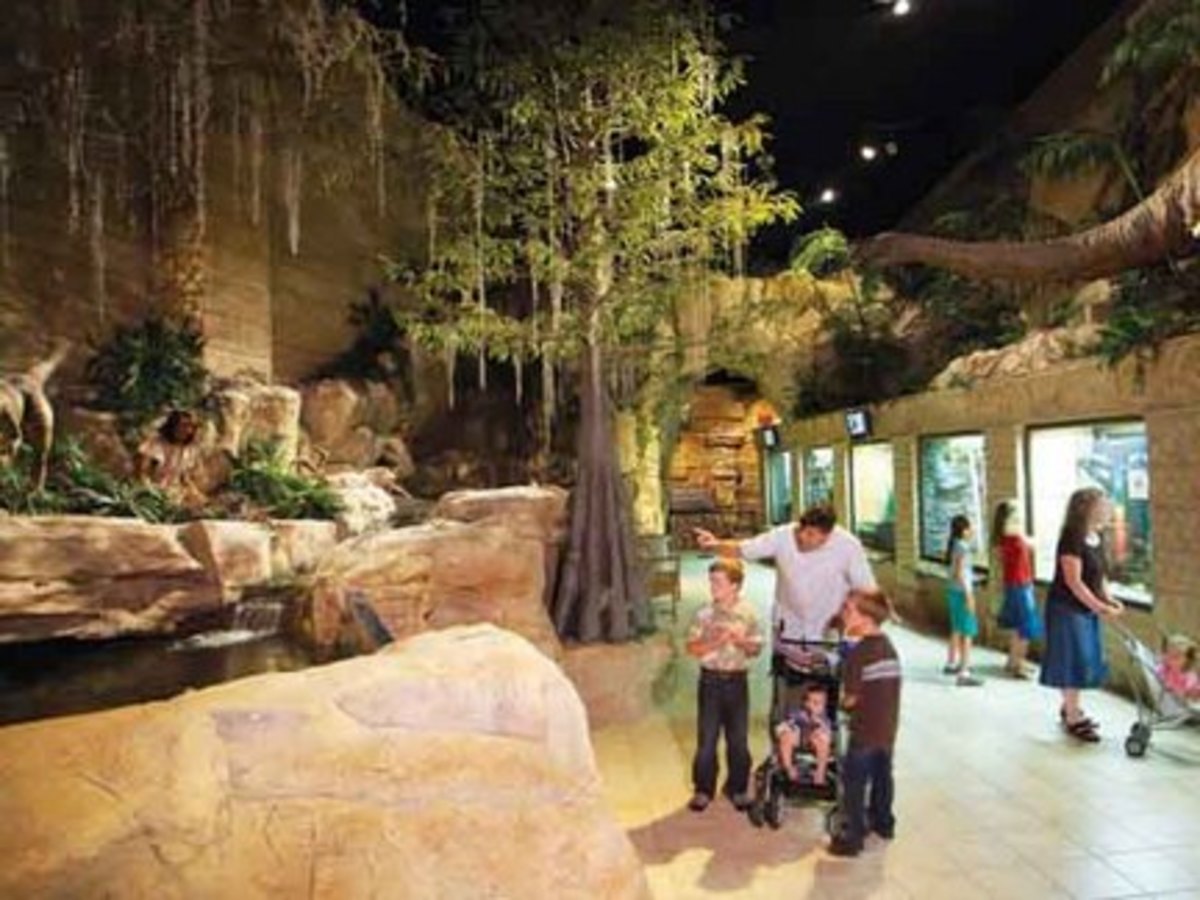 Creation_Museum_article