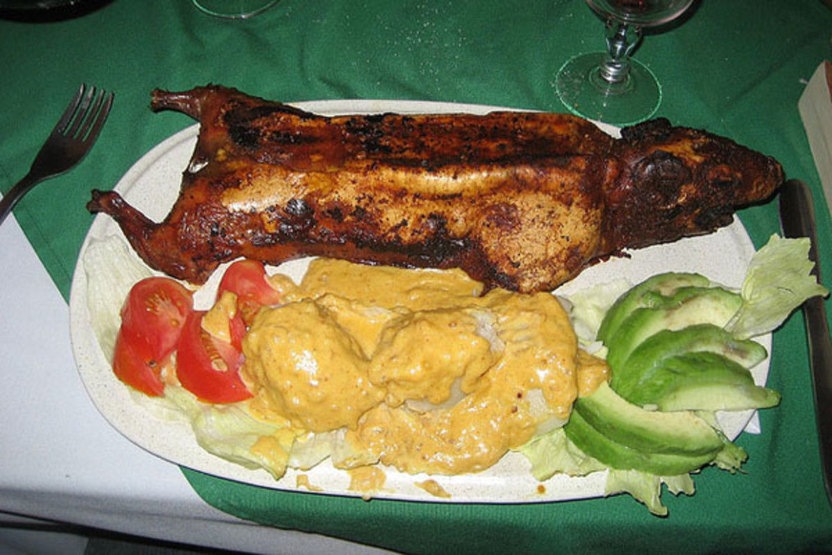 Whether grilled or deep fried, guinea pig is usually served whole in the Andes, where the rodents are a popular source of protein. (PHOTO: ALEX ROBBINS/FLICKR)