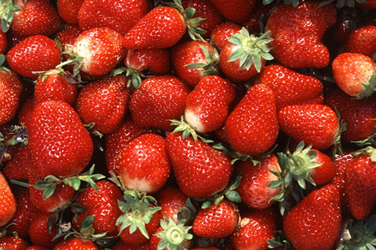 Strawberries. (PHOTO: PUBLIC DOMAIN)