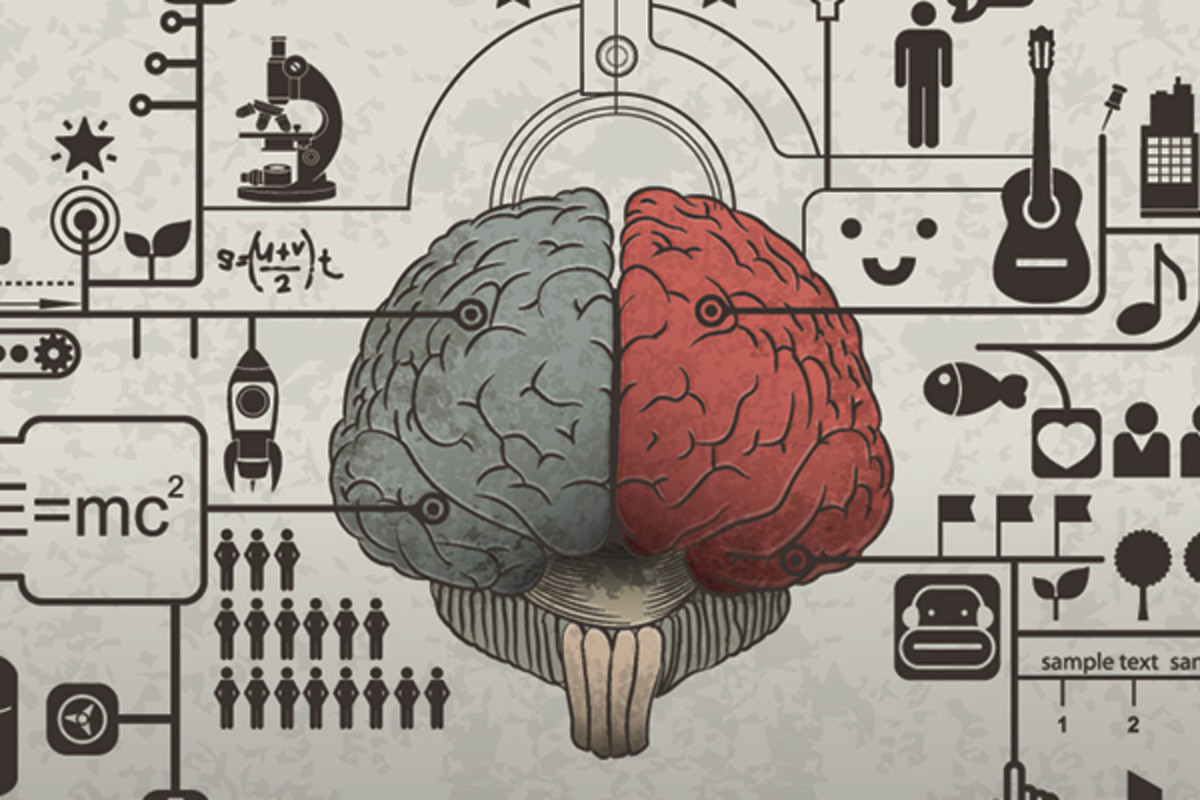 brainism-brain
