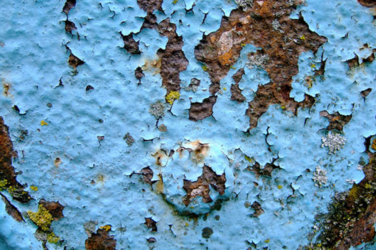 Lead paint and lichen on the side of a building. (PHOTO: SARAH LICHTENWALD/SHUTTERSTOCK)