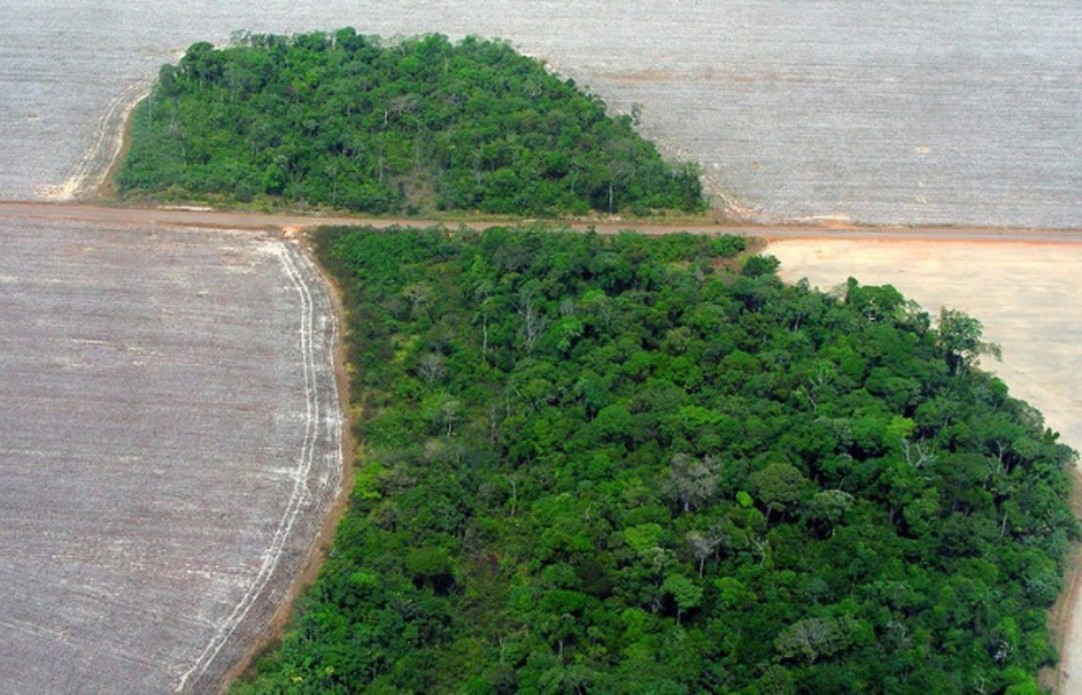 Deforestation in Brazil. (Photo: Agência Brasil/Wikimedia Commons)