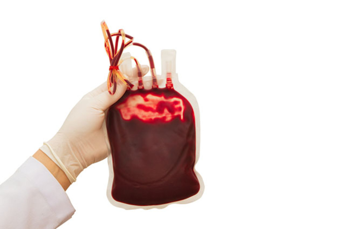 transfusion-2