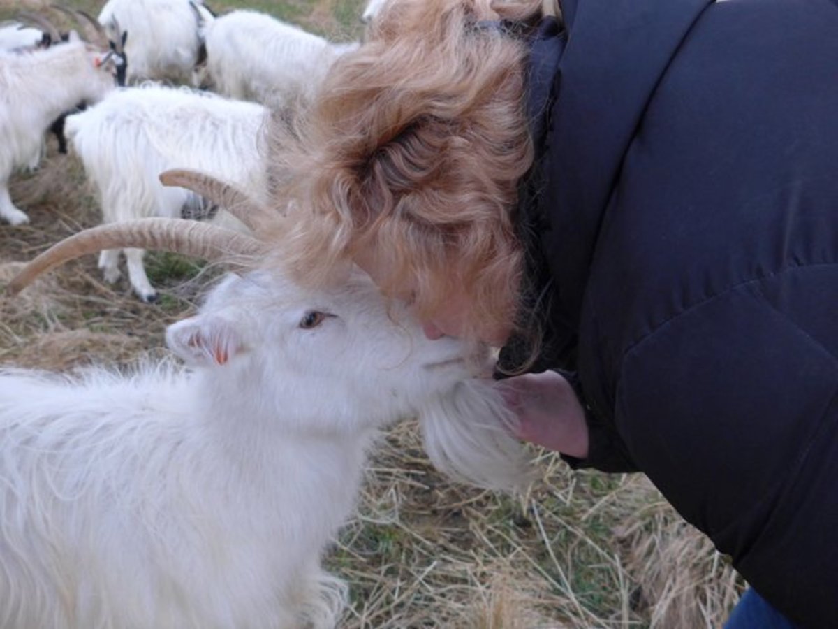 Johanna kisses one of her many goats. (Photo: Justin Taylor)