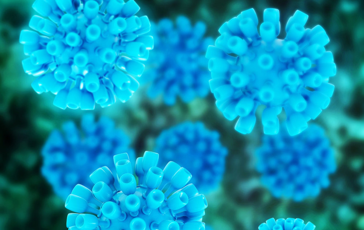 Rendering of the hepatitis virus. (Illustration: xrender/Shutterstock)