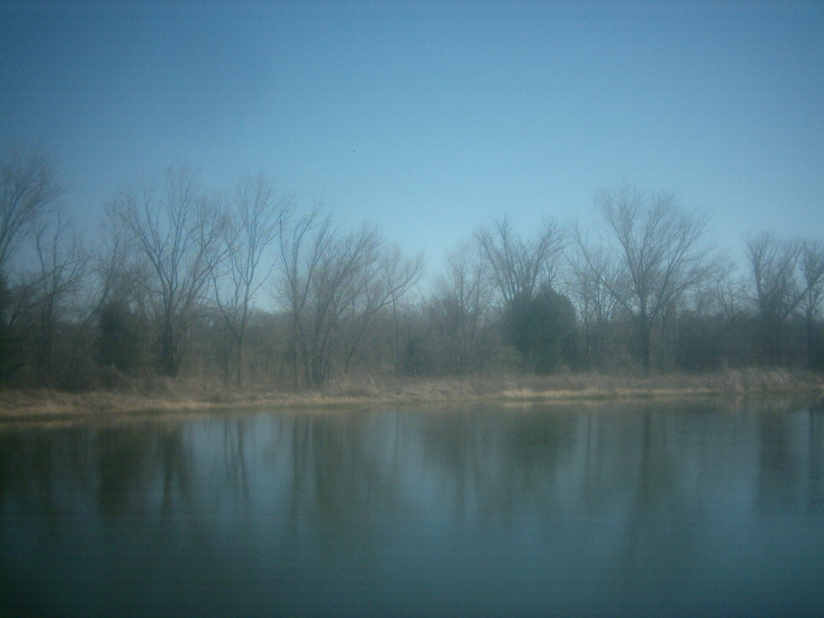 Trinity River Audubon Center. (Photo: Robert Nunnally/Flickr)