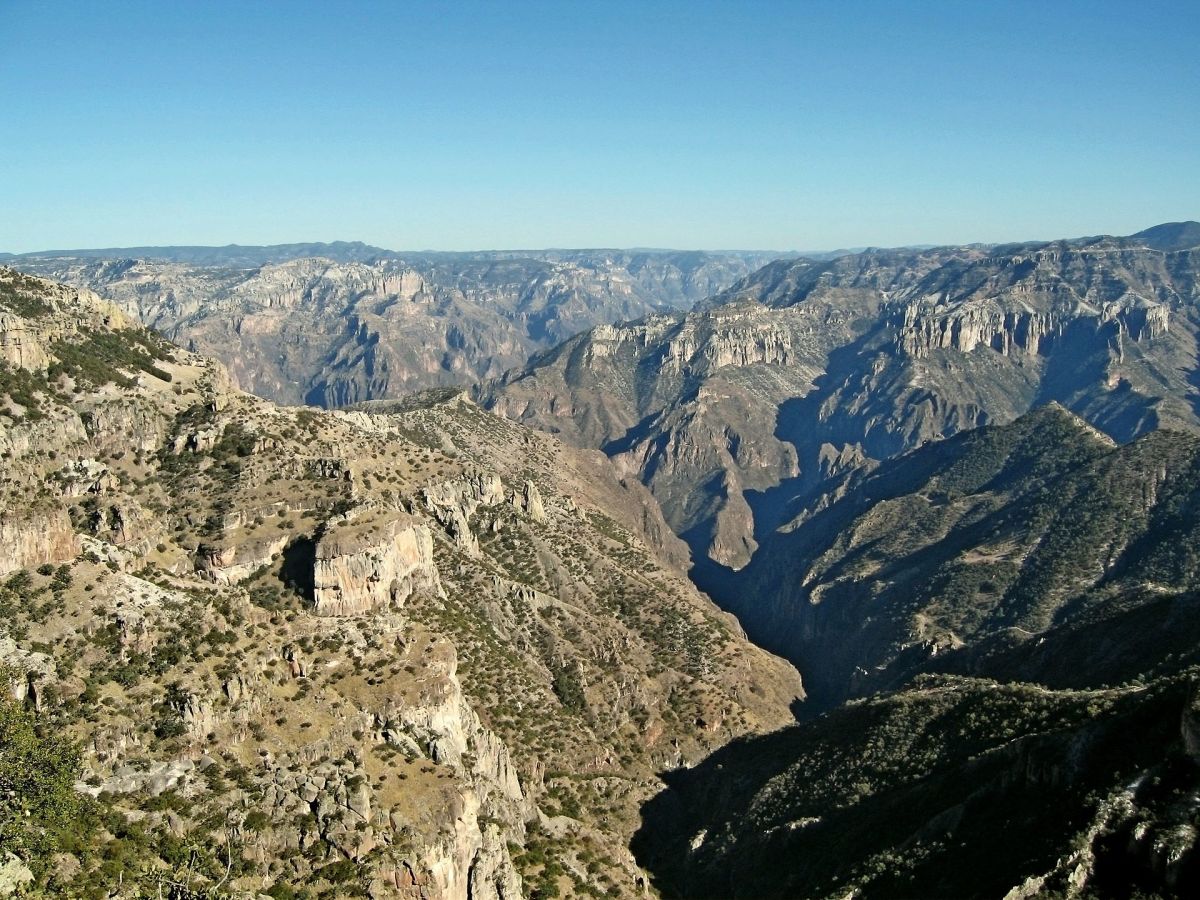 Mexico's Copper Canyon, where Alfredo Gonzalez found Raramuri Criollo to bring back to southern New Mexico to start an experimental herd. (Photo: Public Domain)