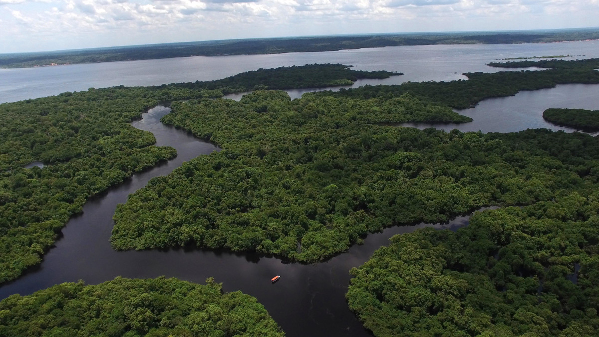 An aerial Shot of the Amazon rainforest in Brazil, South America. (Photo: Gustavo Frazao/Shutterstock)