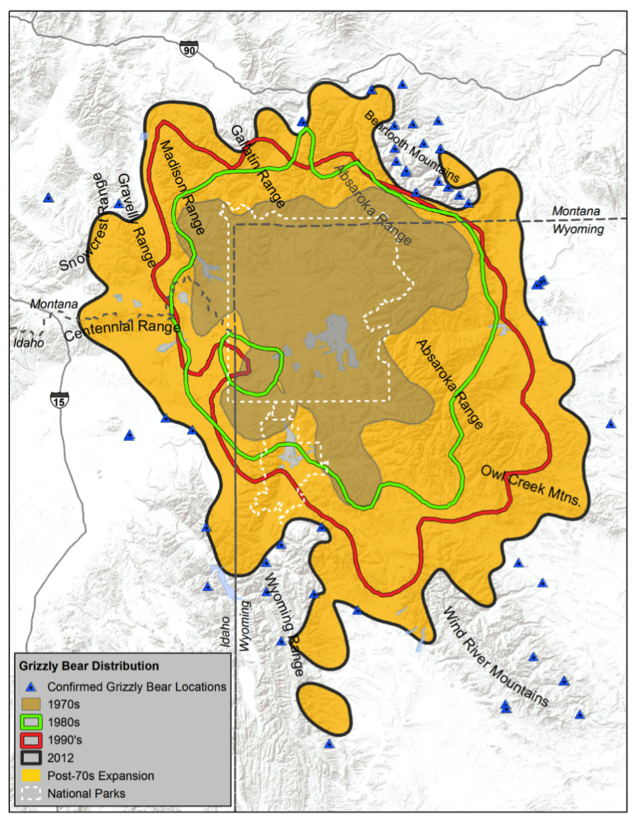 Map of Yellowstone grizzly bear distribution. (Map: Yellowstone National Park)