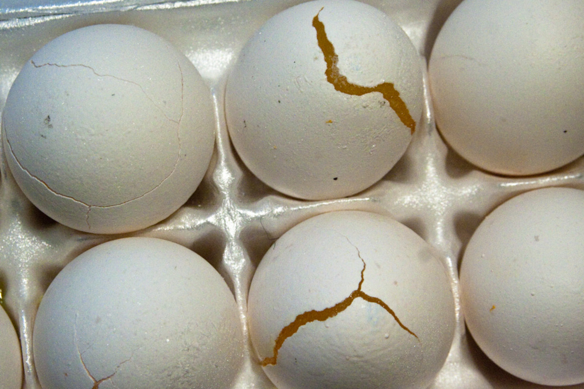 Можно замораживать вареные яйца. Замороженные яйца. Перемороженные яйца. Форма для заморозки яиц.
