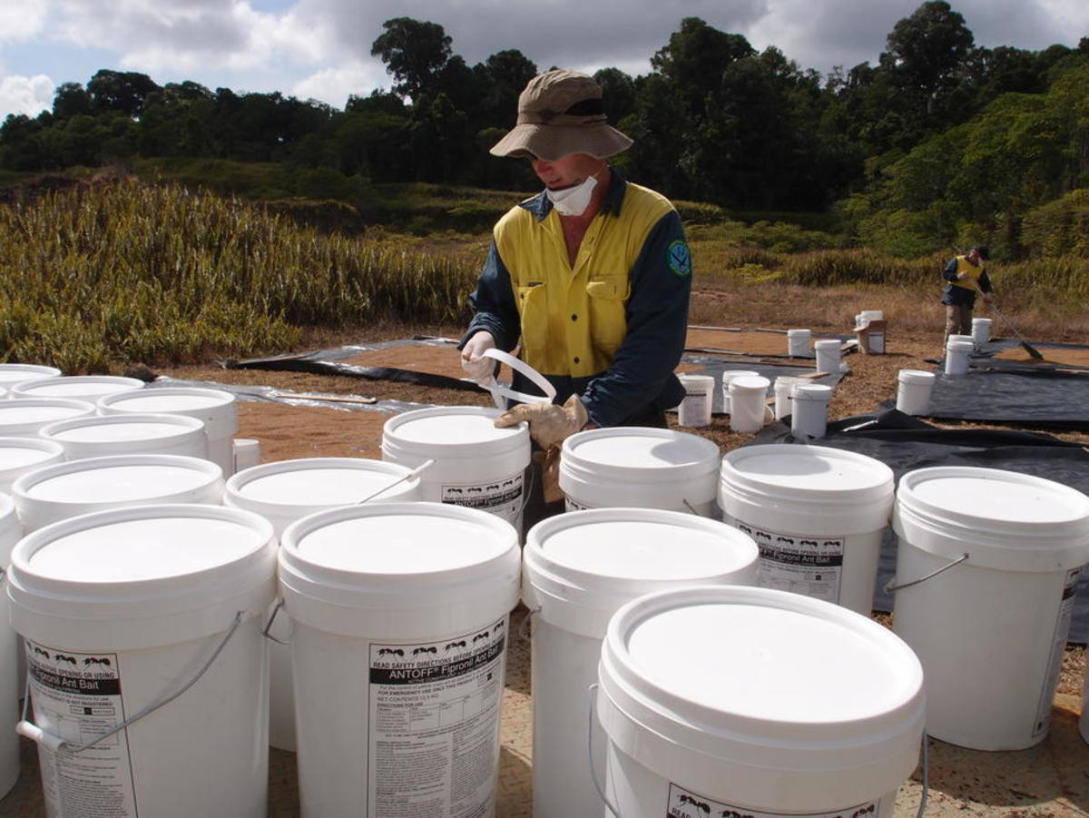 A Christmas Island National Park employee prepares buckets of AntOff. (Photo: CINP)