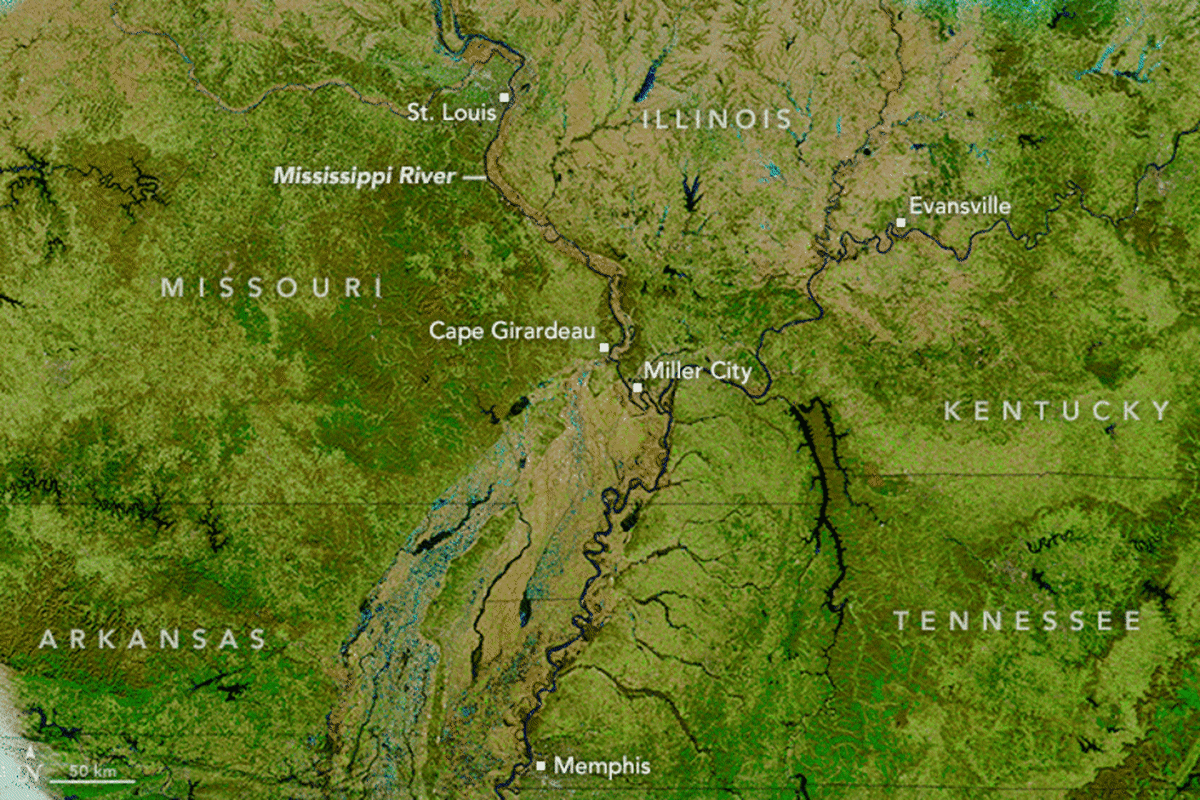 A comparison of NASA satellite images of the Mississippi River on January 3, 2016, and January 10, 2015. (Photo: NASA)